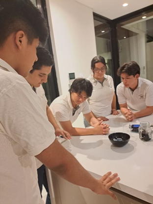 Proceso de elaboración del jabón Oro Negro